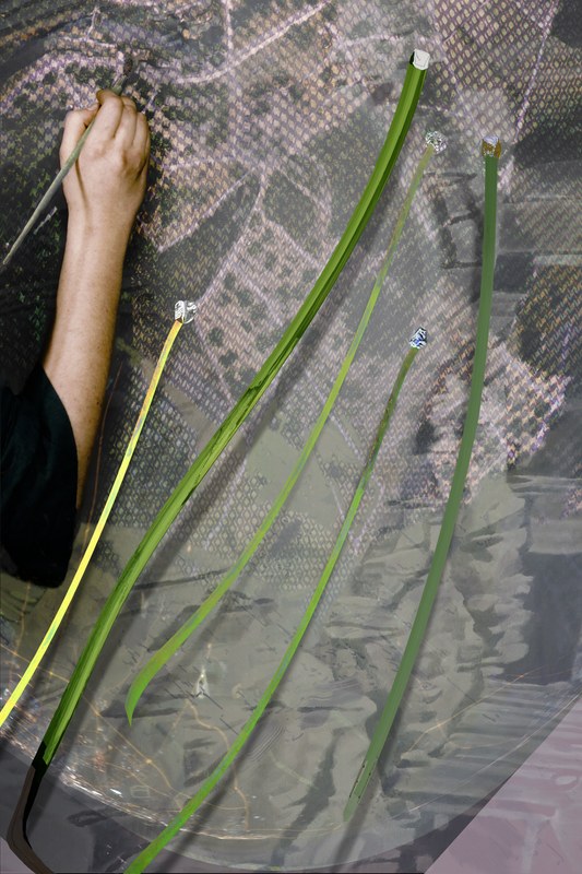 Alex Fischer, Seeding, 2012-06-08